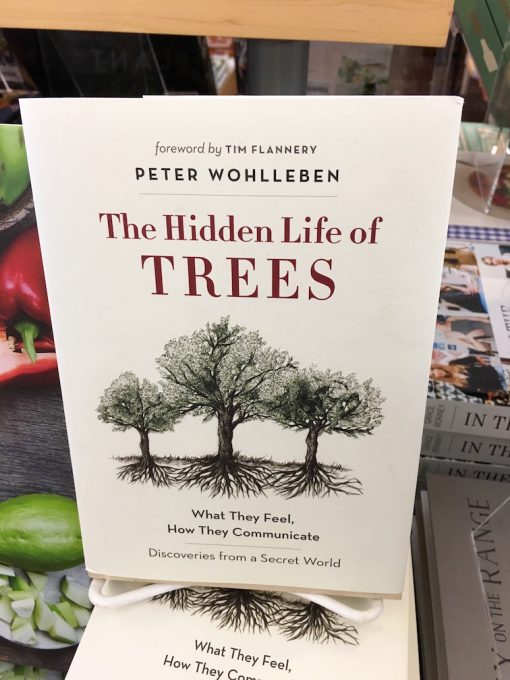 Treehouseblog – The hidden life of trees