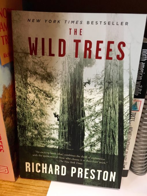 Treehouseblog – The wild trees
