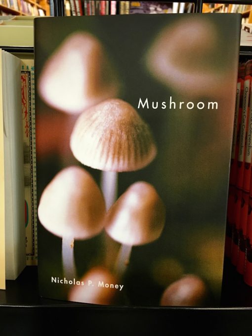 Treehouseblog – Mushroom