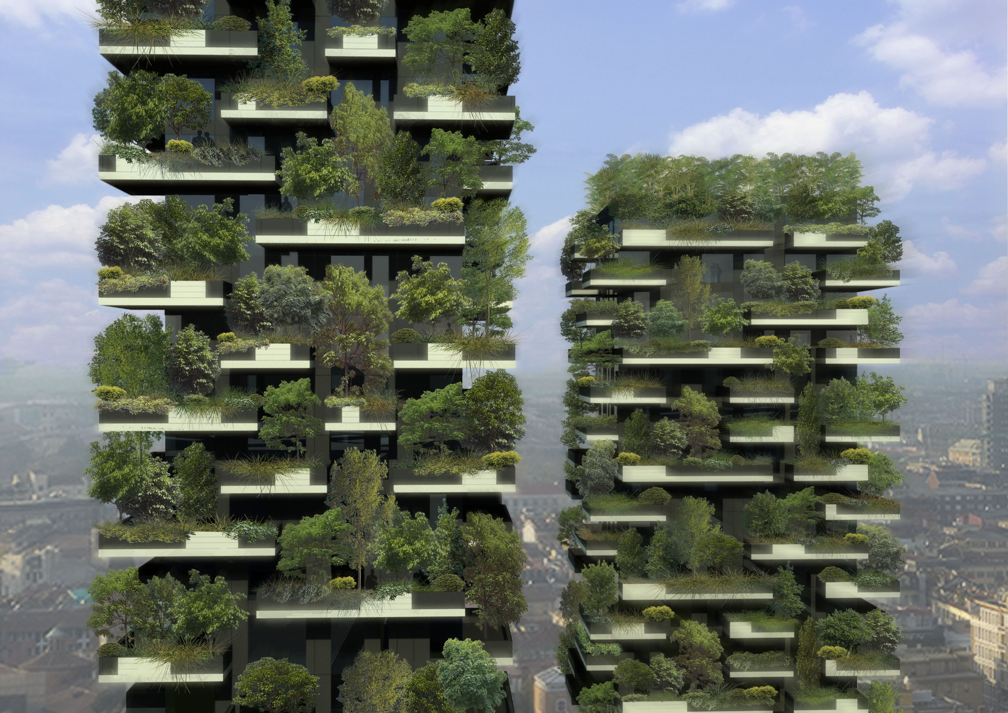 A vertical forest is developing on two skyscrapers in Milan, IT