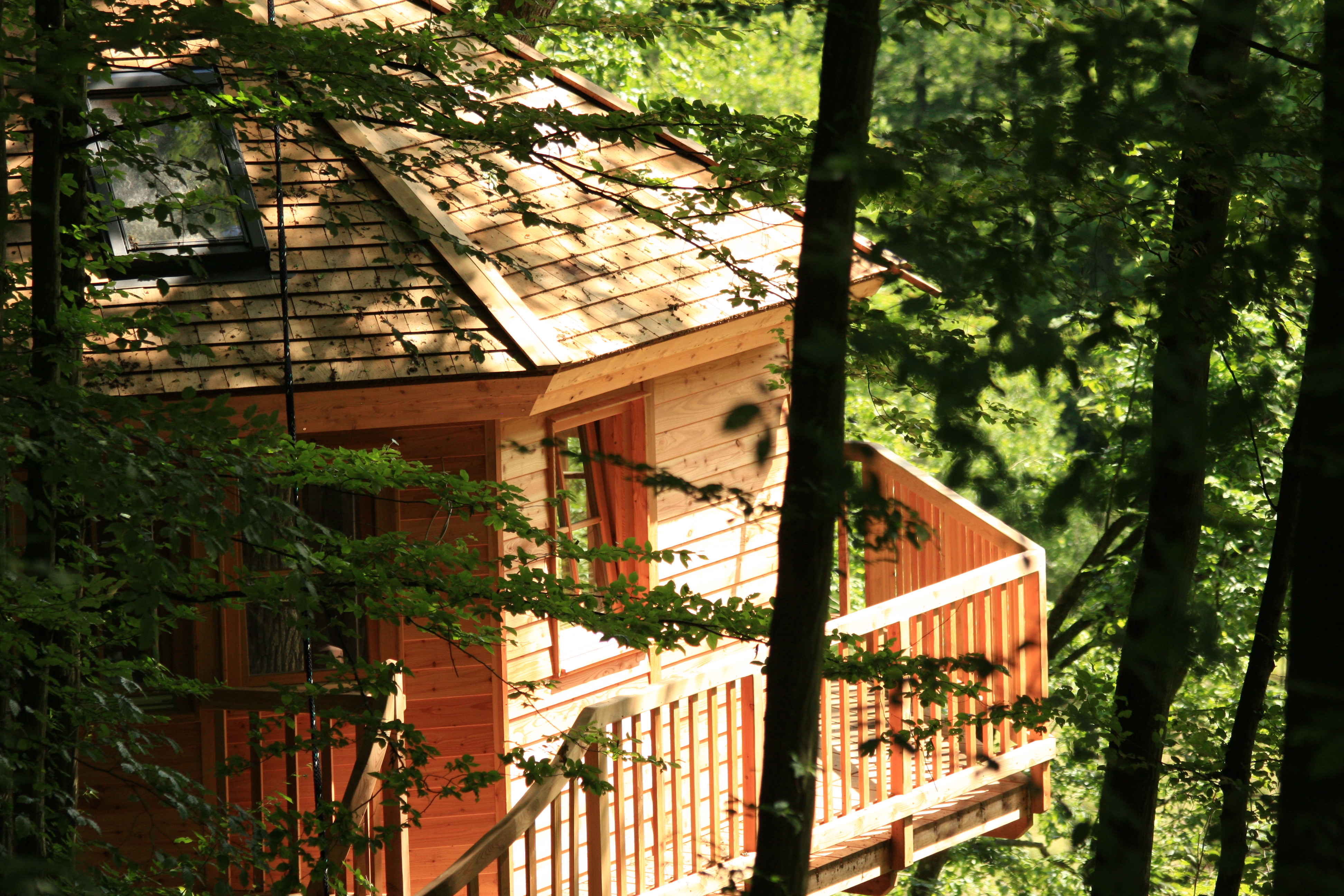 The treehousehotel “Baumhaushotel Seemühle” in Gräfendorf, Germany
