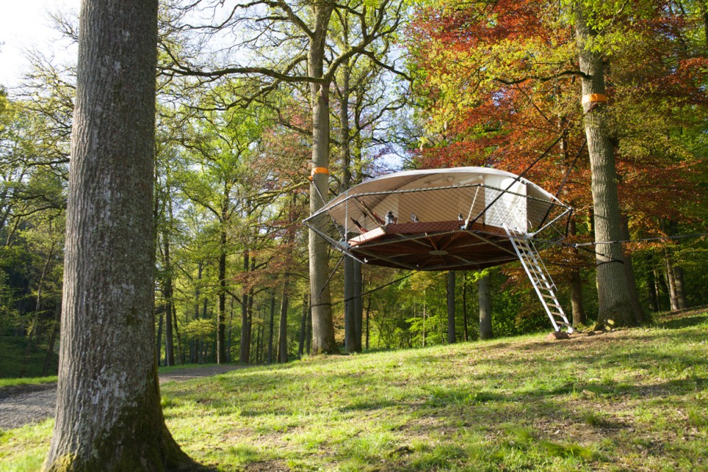 The Dom’Up Treehouse